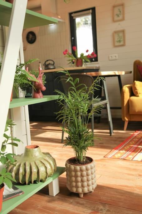 Шале Dereva Yablunytsya Ngoại thất bức ảnh